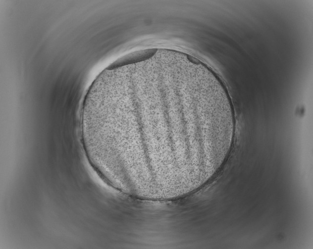 X0000110711528200907101232