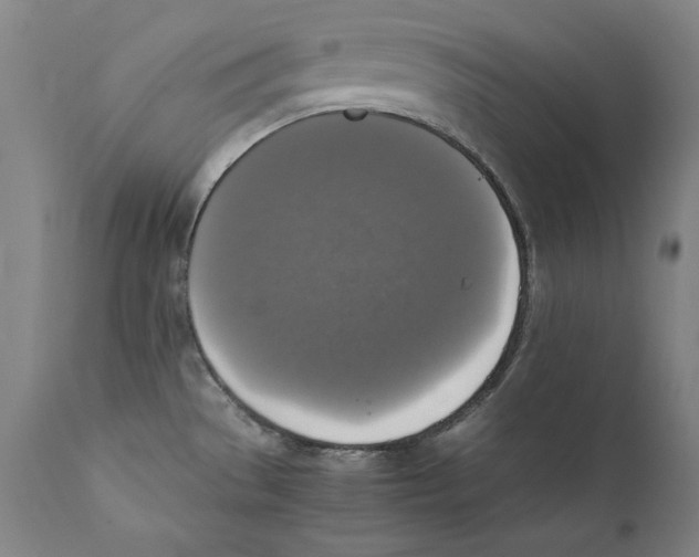 X0000110711529200907101232