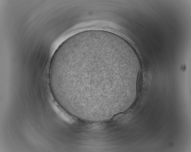 X0000110711530200907101232