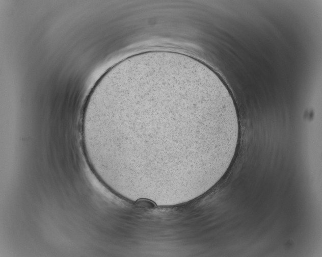 X0000110711531200907101232