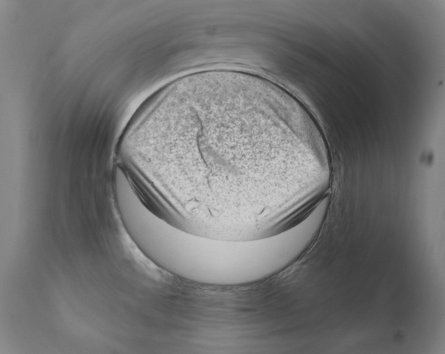 X0000110711532200907101232