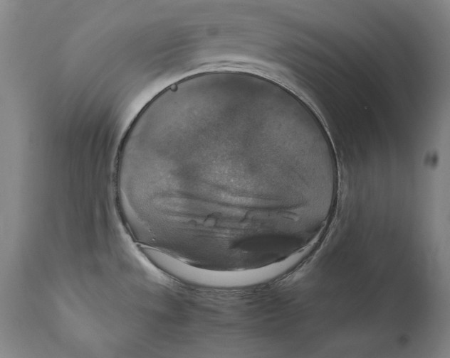 X0000110711533200907101232