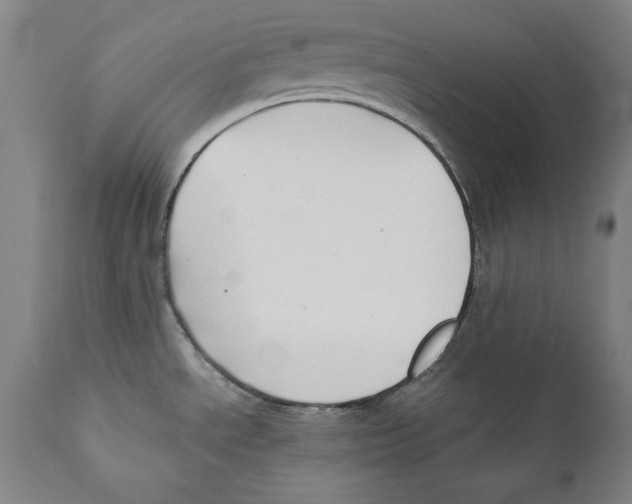 X0000110711534200907101232