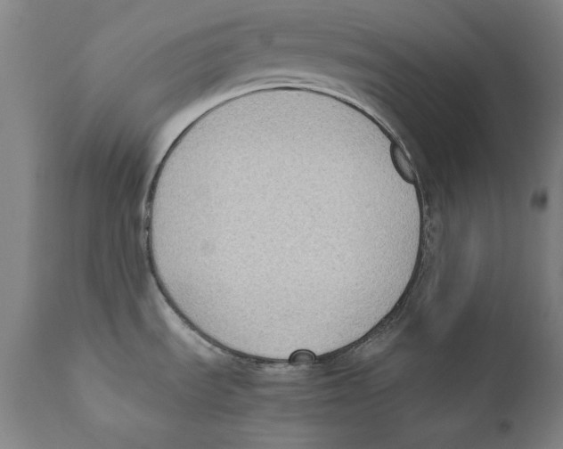 X0000110711535200907101232