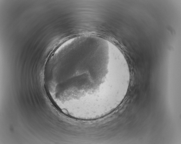 X0000110710002200907241155