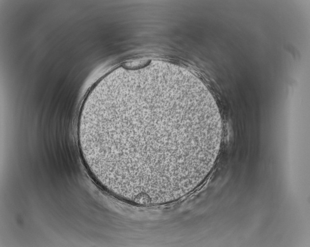 X0000110710004200907241155