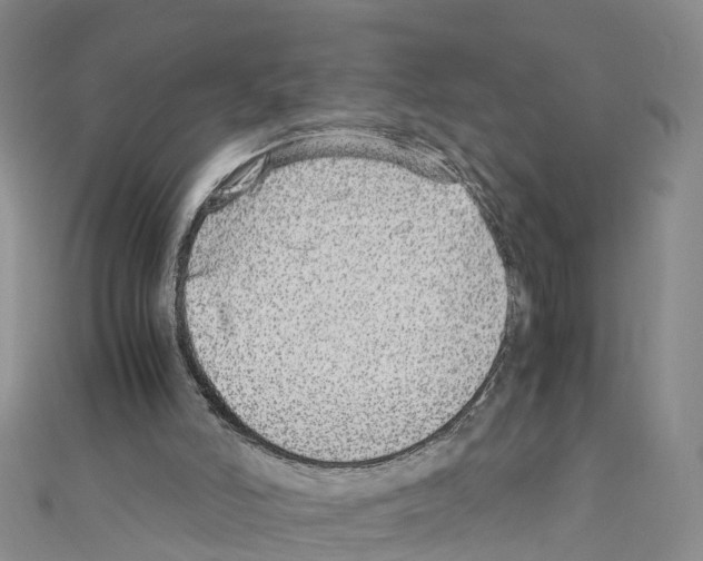 X0000110710006200907241155