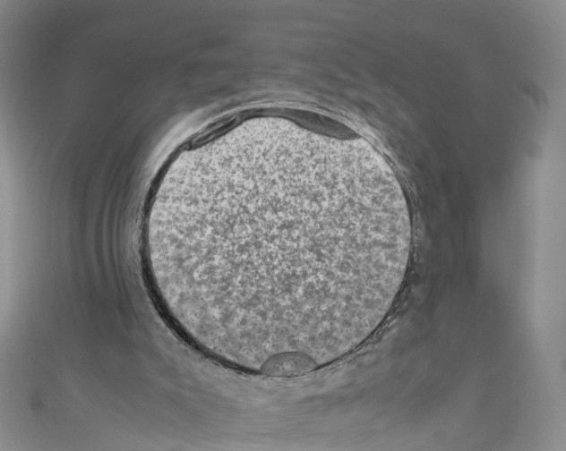 X0000110710007200907241155