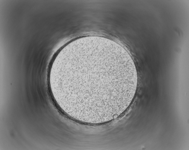 X0000110710008200907241155