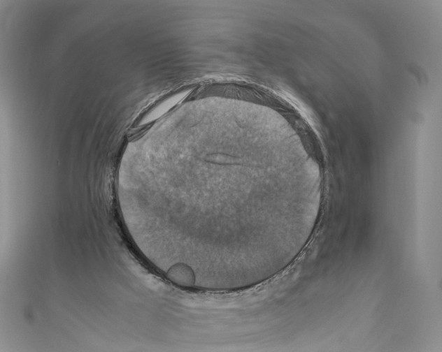 X0000110710009200907241155