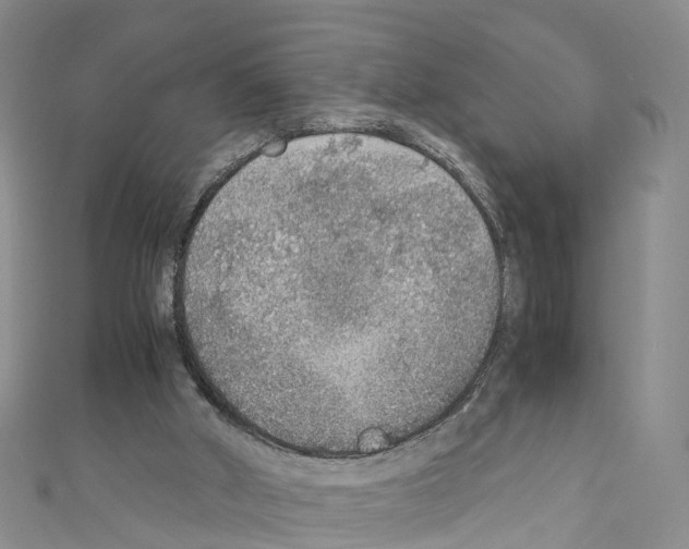 X0000110710010200907241155