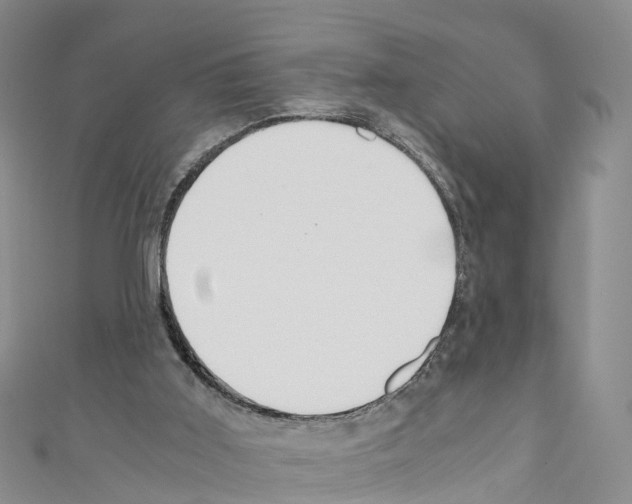 X0000110710011200907241155