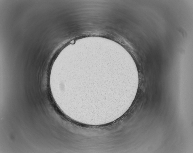 X0000110710012200907241155