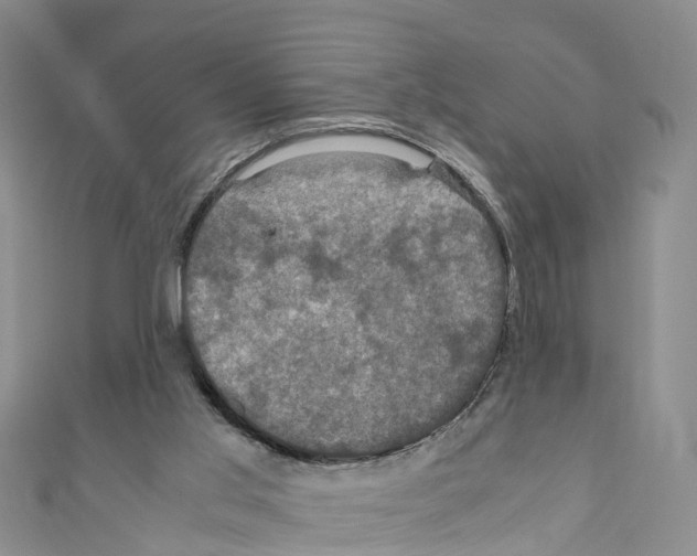 X0000110710013200907241155