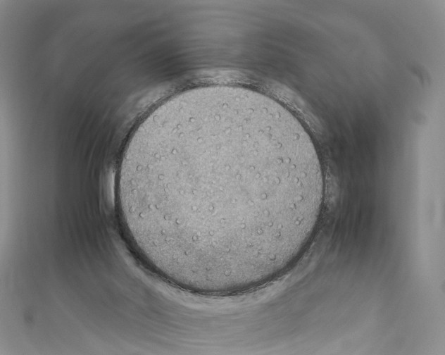 X0000110710014200907241155