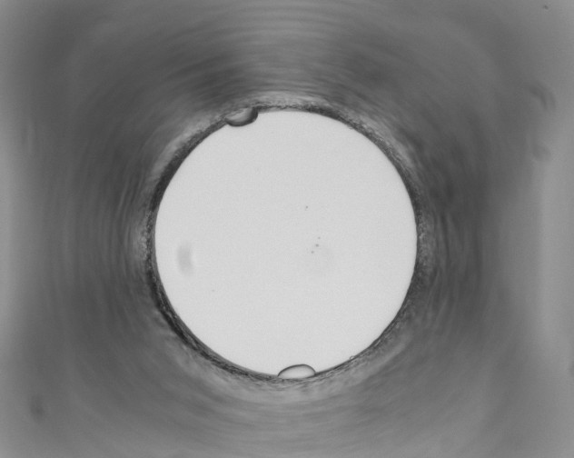 X0000110710015200907241155
