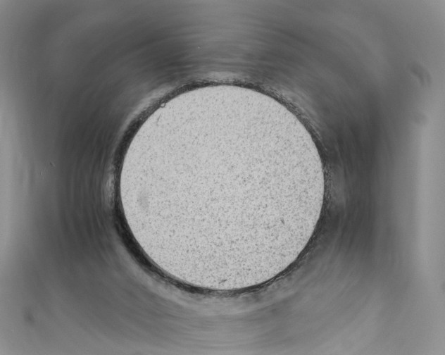 X0000110710016200907241155