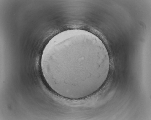 X0000110710018200907241155