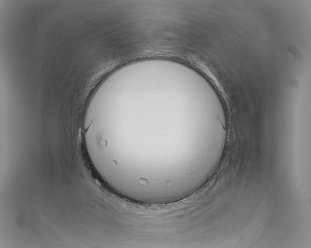 X0000110710019200907241155