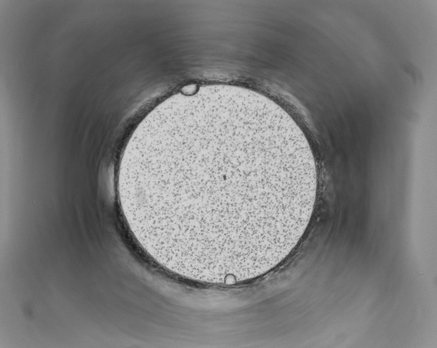 X0000110710020200907241155