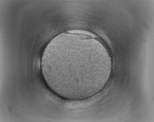 X0000110710021200907241155