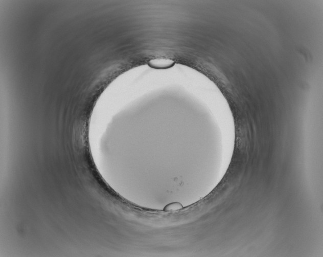 X0000110710023200907241155