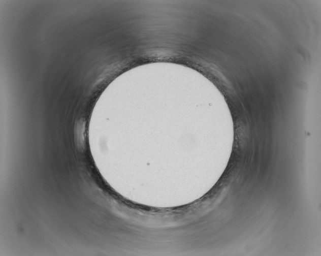 X0000110710024200907241155