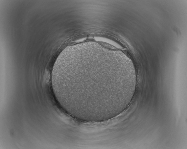 X0000110710025200907241155