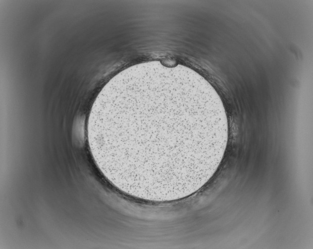 X0000110710028200907241155