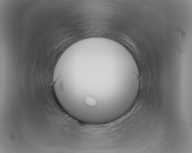 X0000110710029200907241155