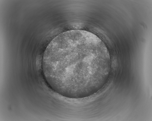 X0000110710030200907241155