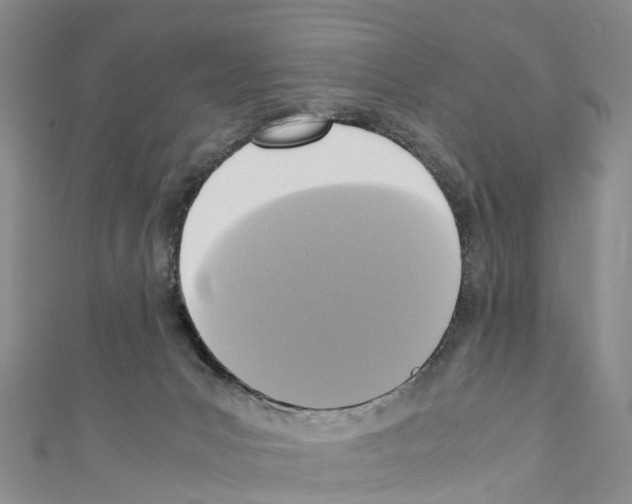 X0000110710031200907241155