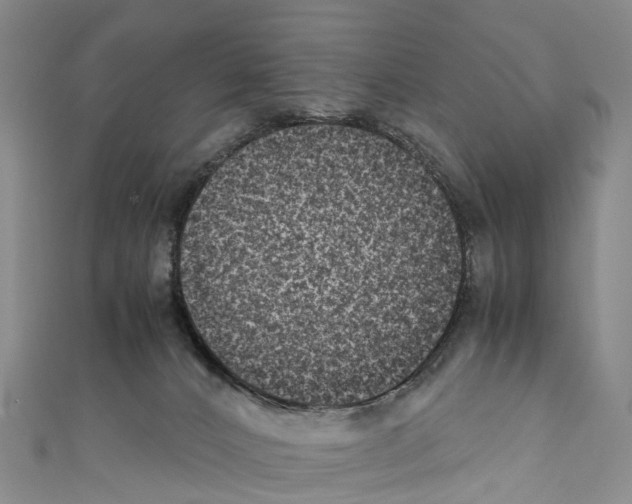 X0000110710032200907241155