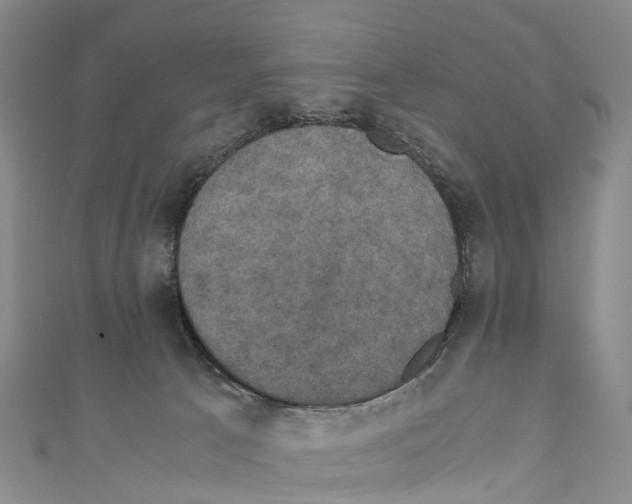 X0000110710033200907241155