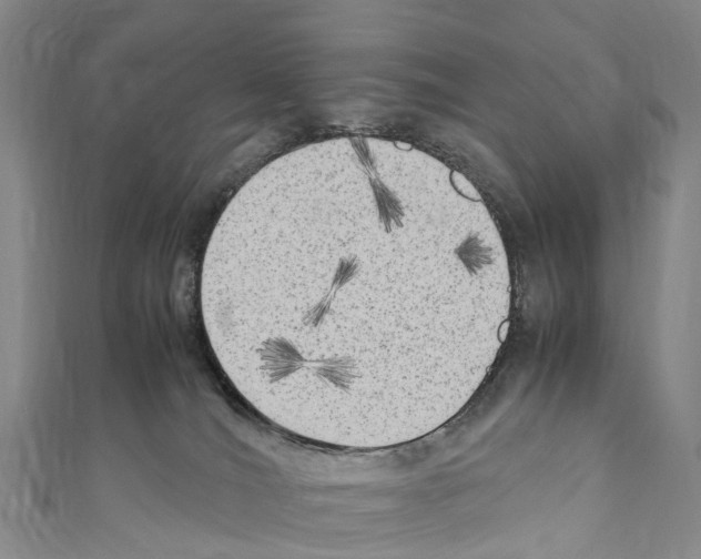X0000110710036200907241155