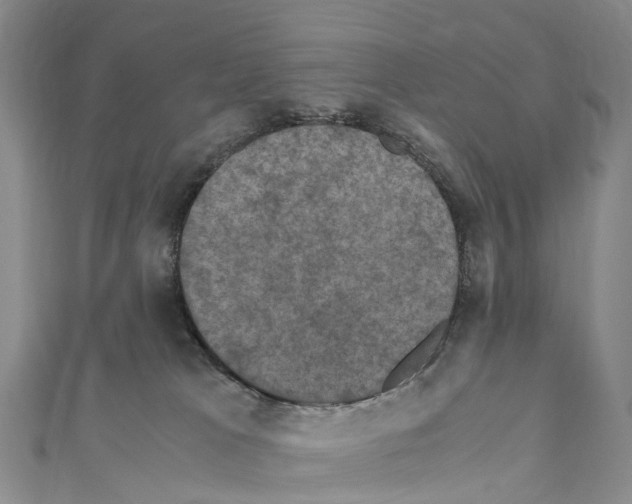 X0000110710037200907241155