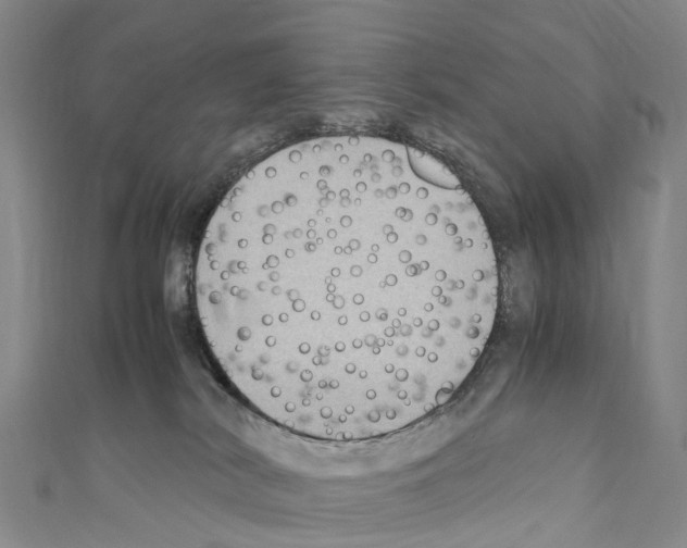 X0000110710038200907241155