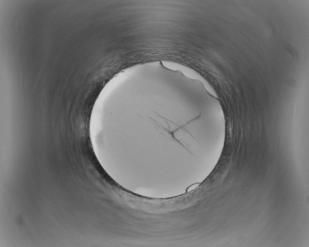 X0000110710039200907241155