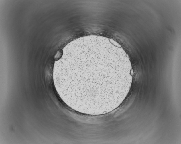 X0000110710040200907241155