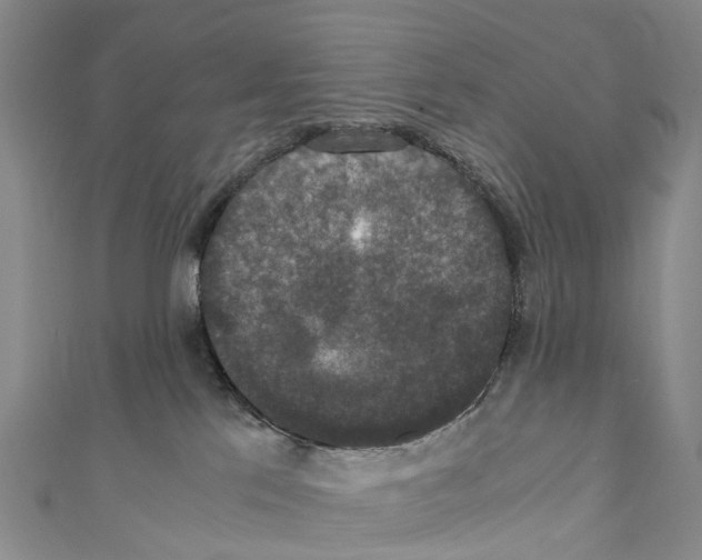 X0000110710041200907241155