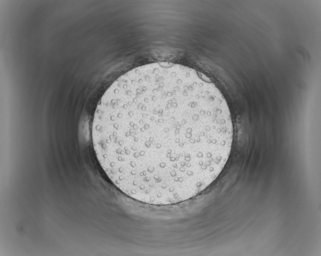 X0000110710042200907241155