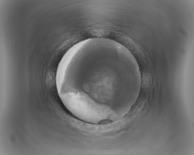X0000110710043200907241155