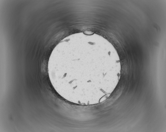 X0000110710044200907241155