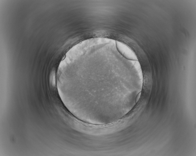 X0000110710046200907241155