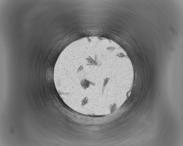 X0000110710048200907241154