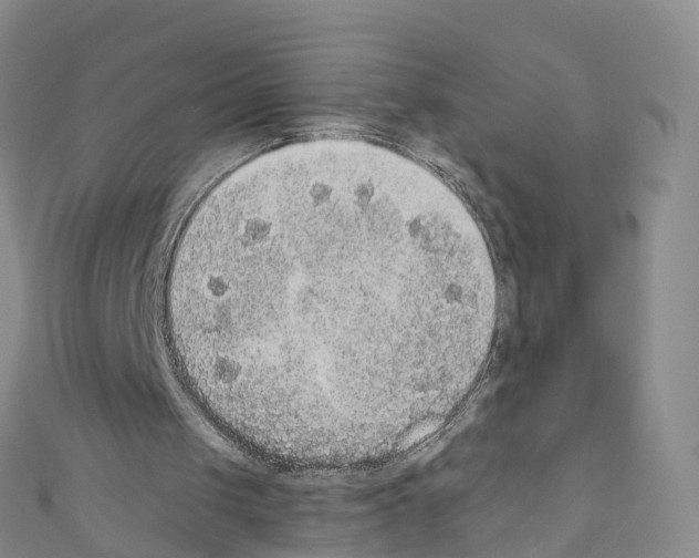 X0000110710049200907241154