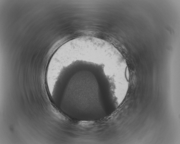 X0000110710051200907241154