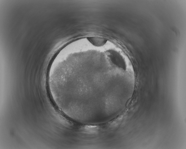 X0000110710055200907241154