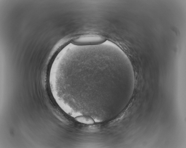 X0000110710056200907241154