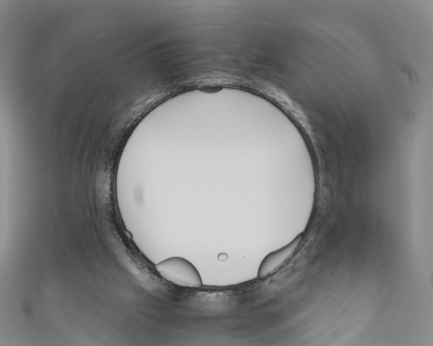 X0000110710057200907241154